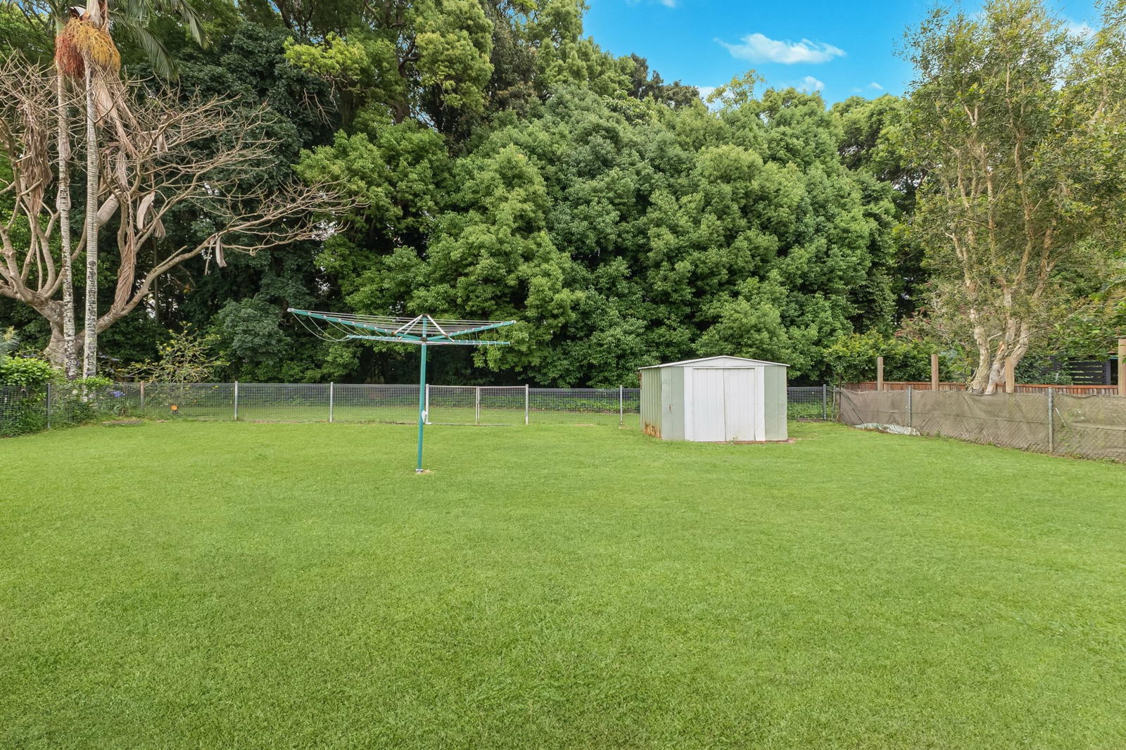 9.Backyard.jpg