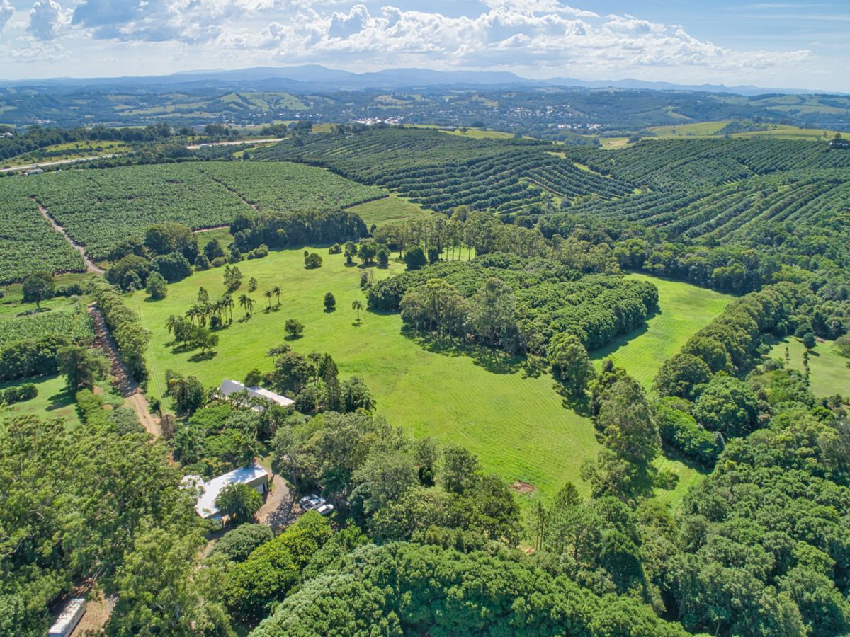 DJI_0233.jpg