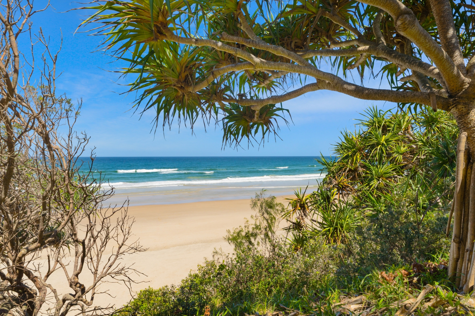 24. Dune View.jpg