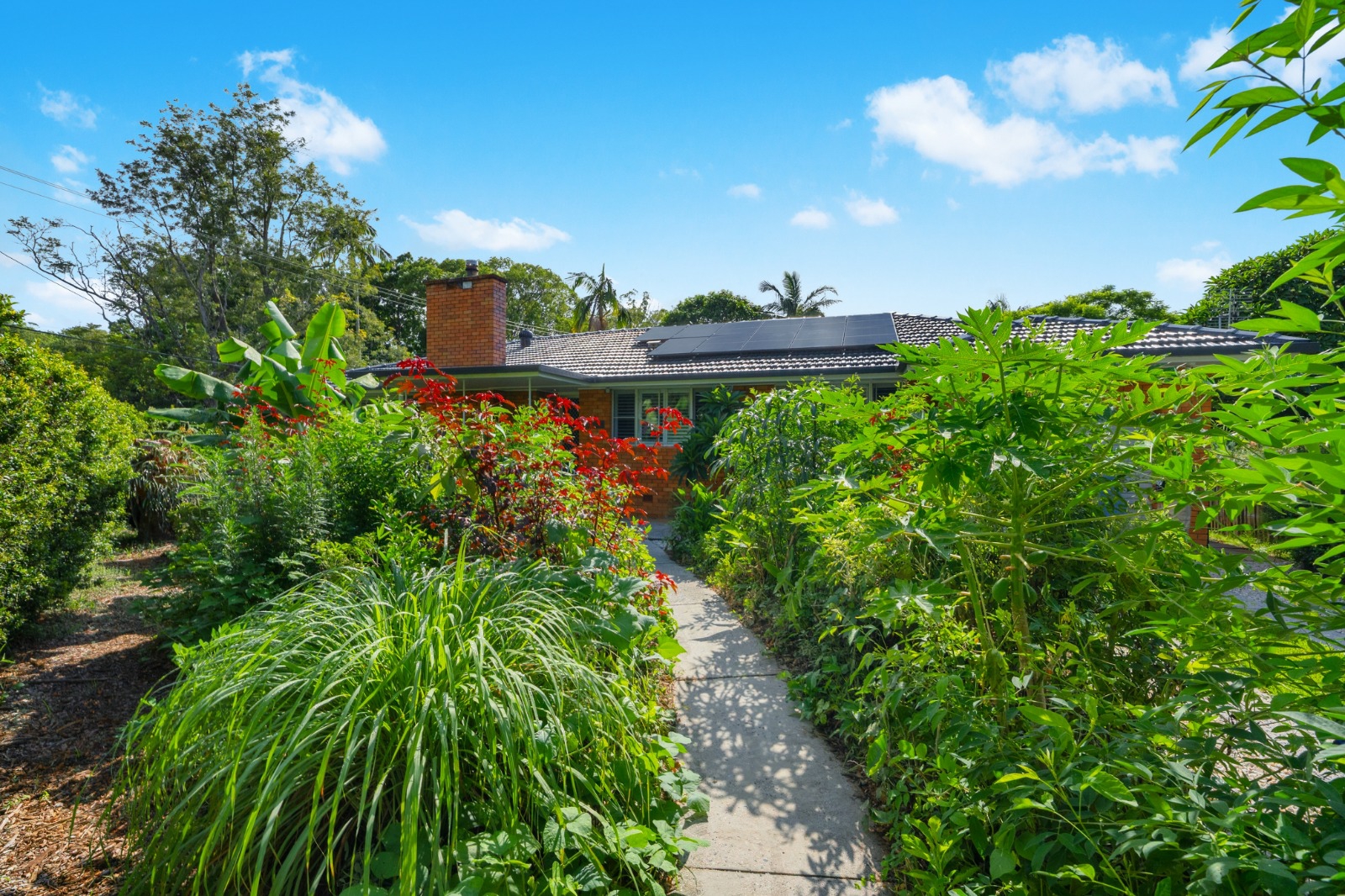 14.Front House.jpeg