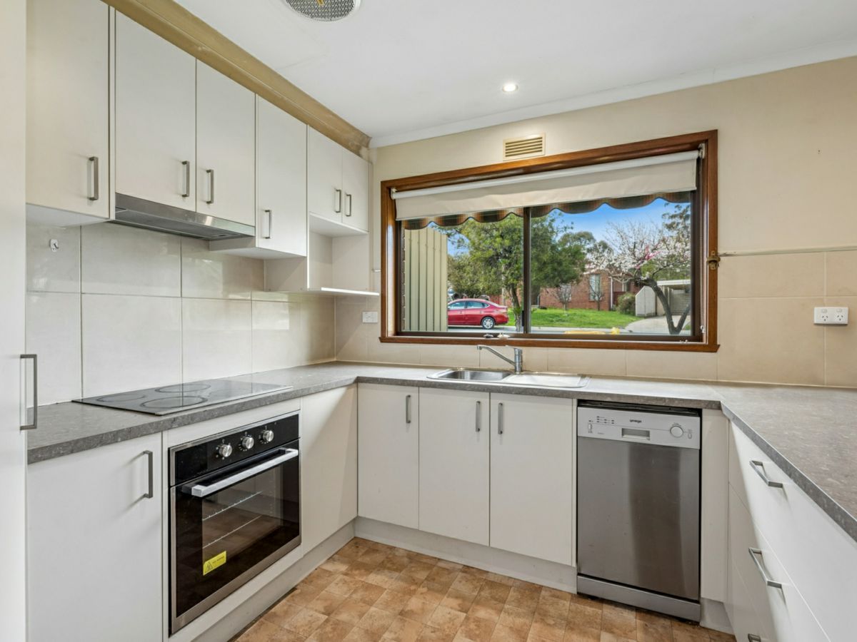 8 Jeffrey Avenue, Flora Hill - image 2