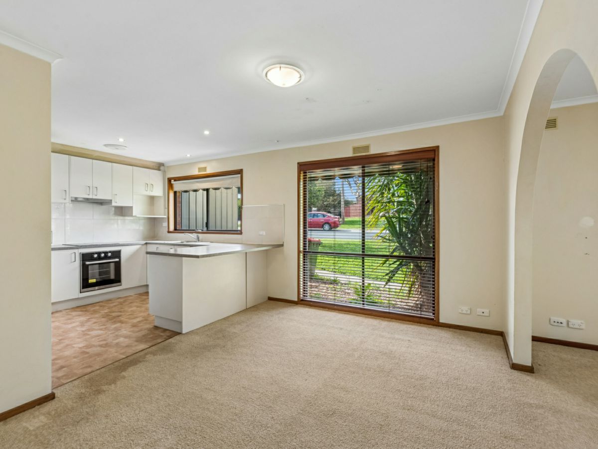 8 Jeffrey Avenue, Flora Hill - image 3