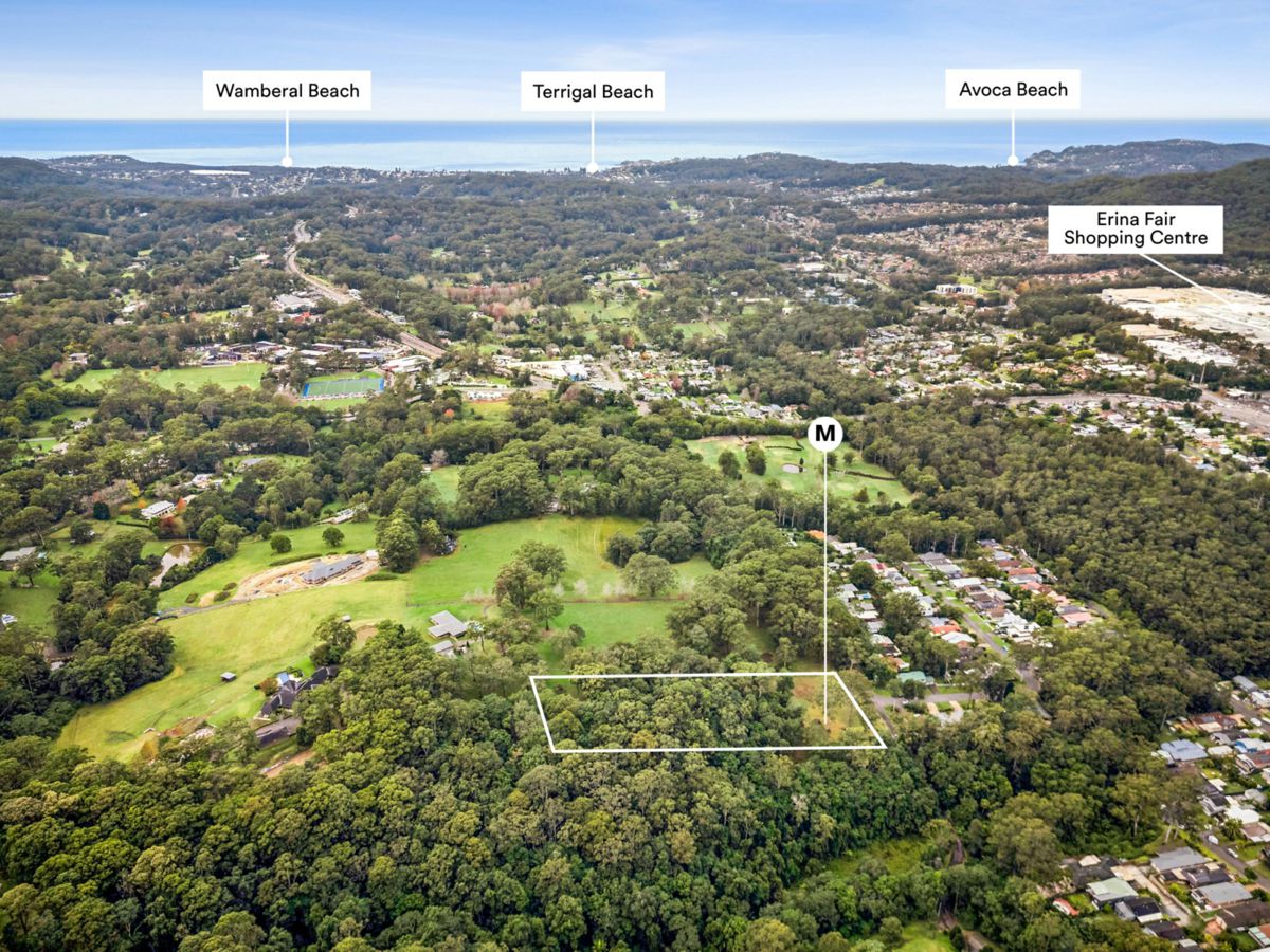 31 Karwin Avenue, Springfield - image 2