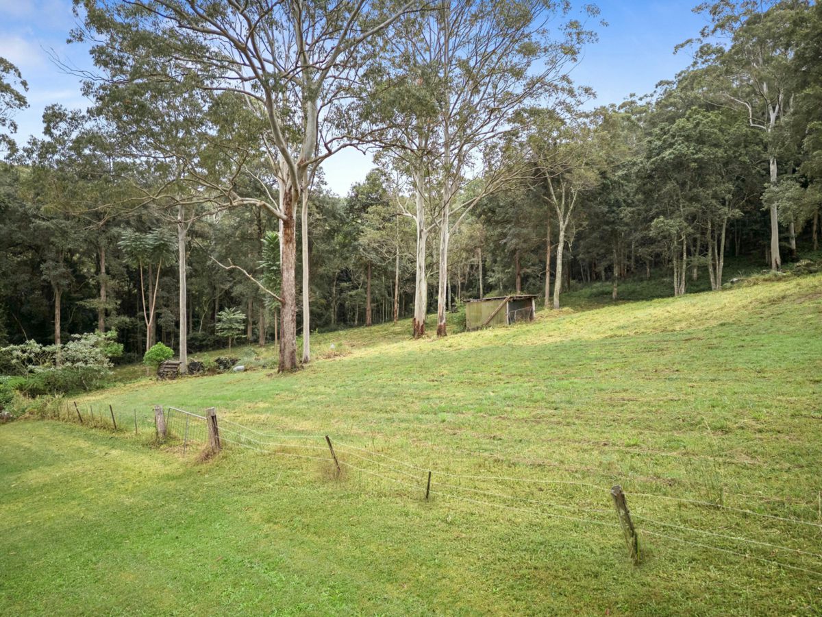 31 Karwin Avenue, Springfield - image 3