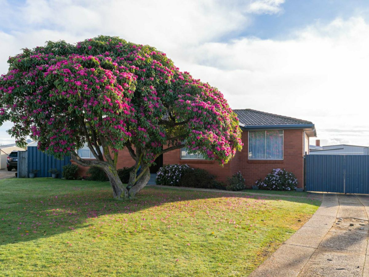 7 Agar Court, Shorewell Park - image 3