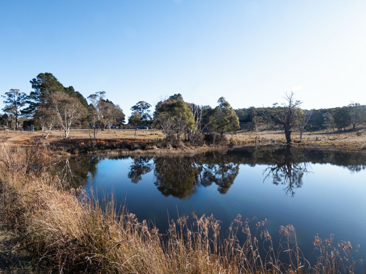 1974 Tuross Road, Kybeyan - image 1