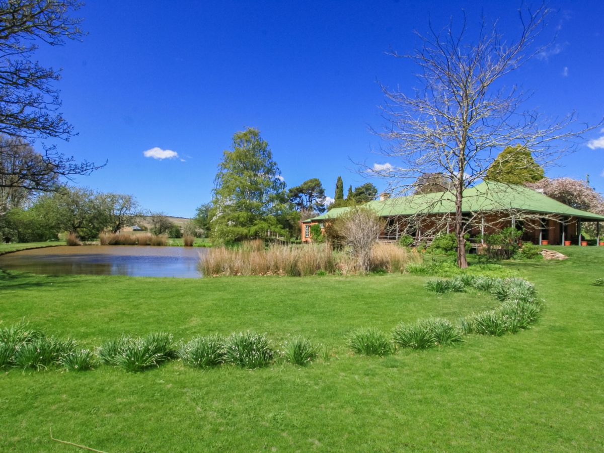 171 Big Flat Road, Bombala - image 2