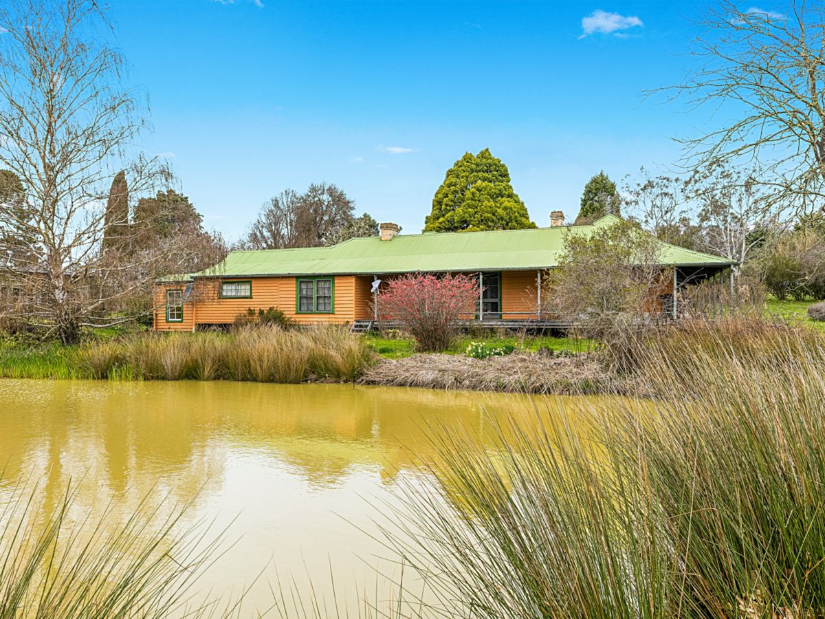 171 Big Flat Road, Bombala - image 3