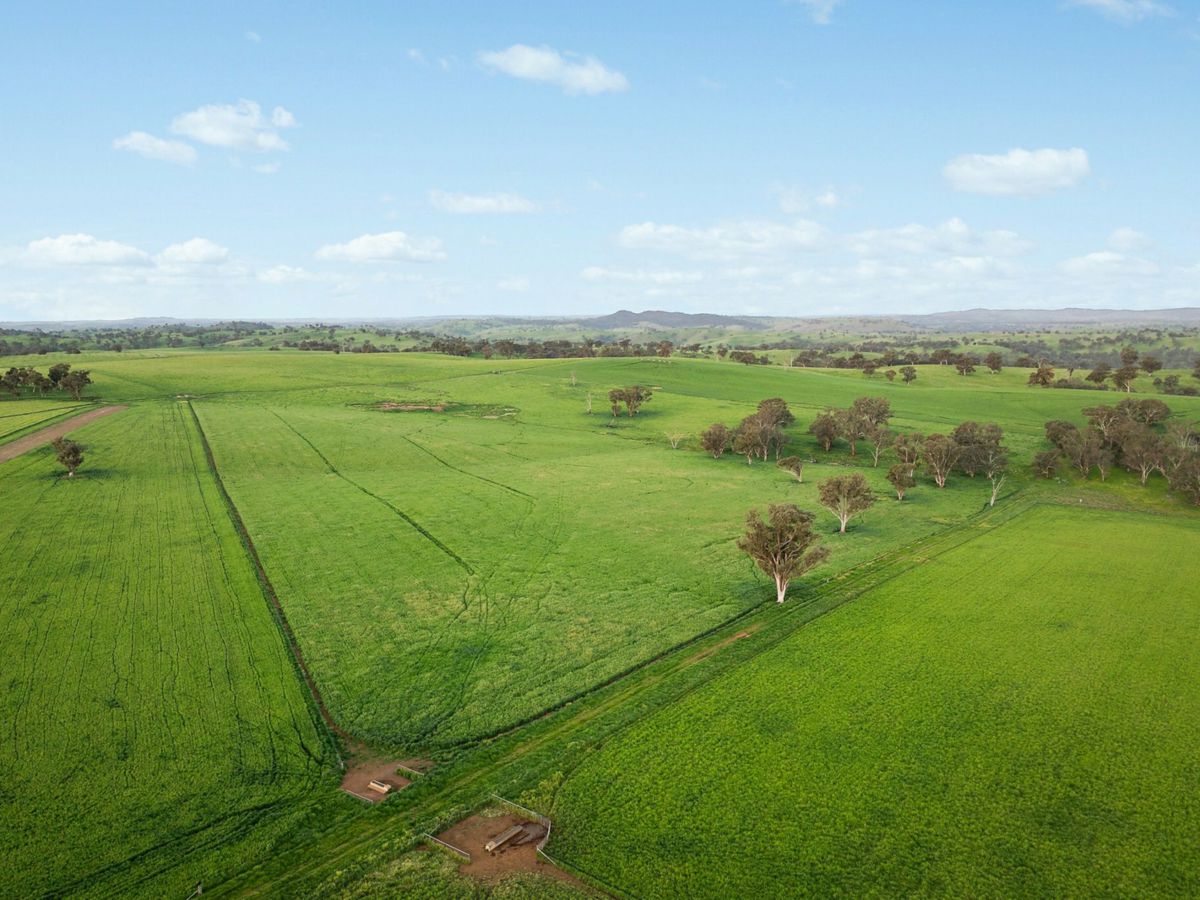 6294 Mitchell Highway, Molong - image 1