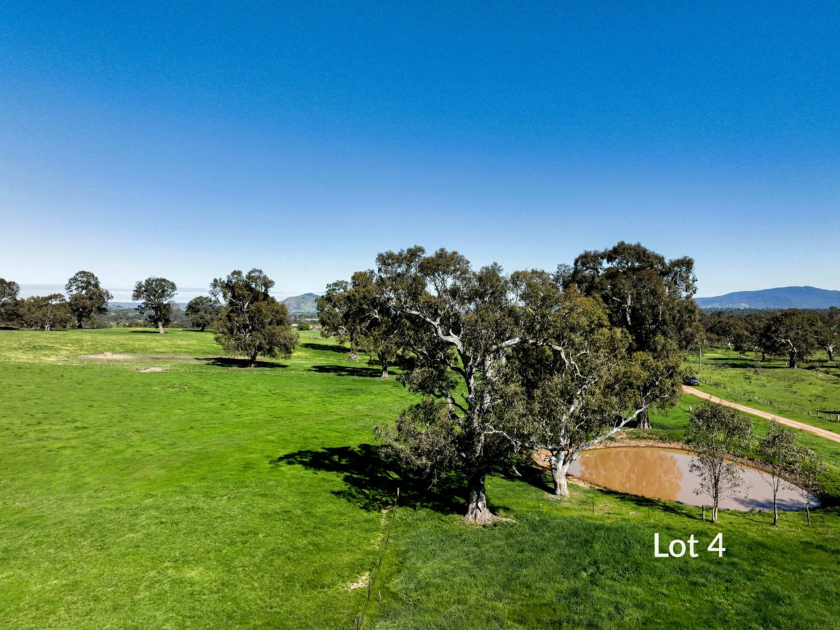 344 Dead Horse Lane, Mansfield - image 3