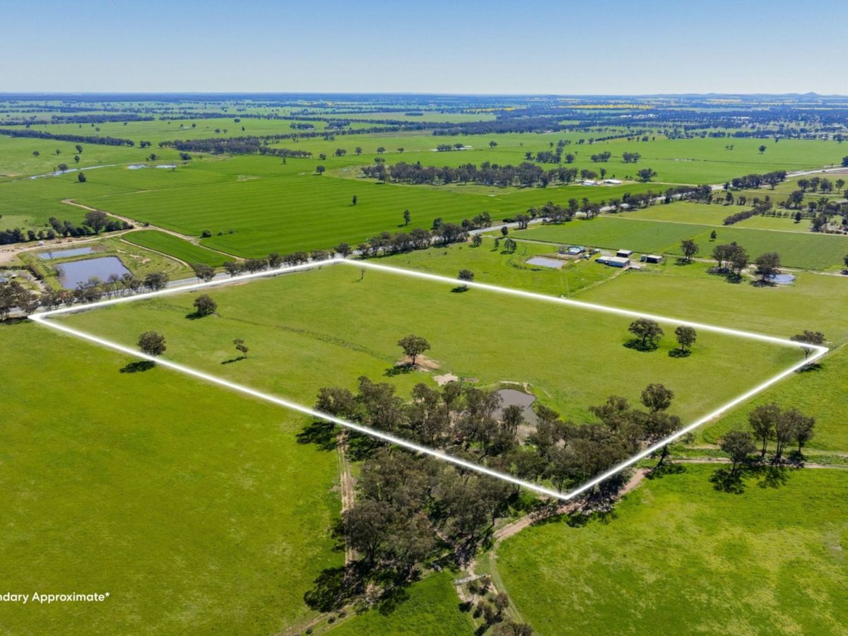 4648 Goldfields Way, Temora - image 1