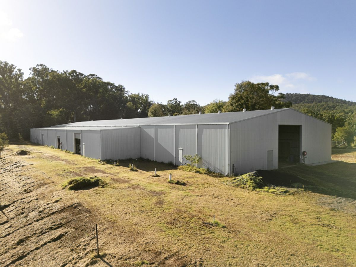 326 Billings Road, Tallowwood Ridge - image 2