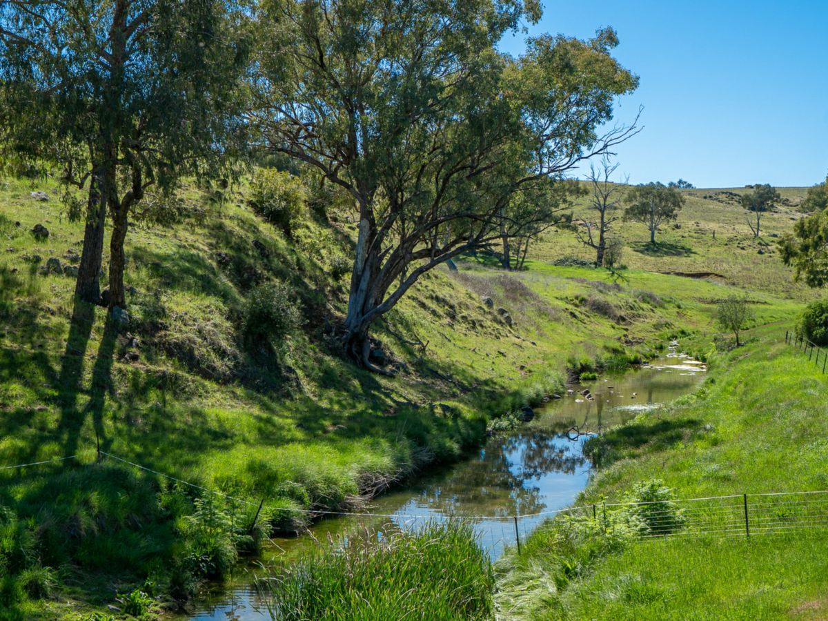 1097 Davys Plains Road, Cudal - image 1