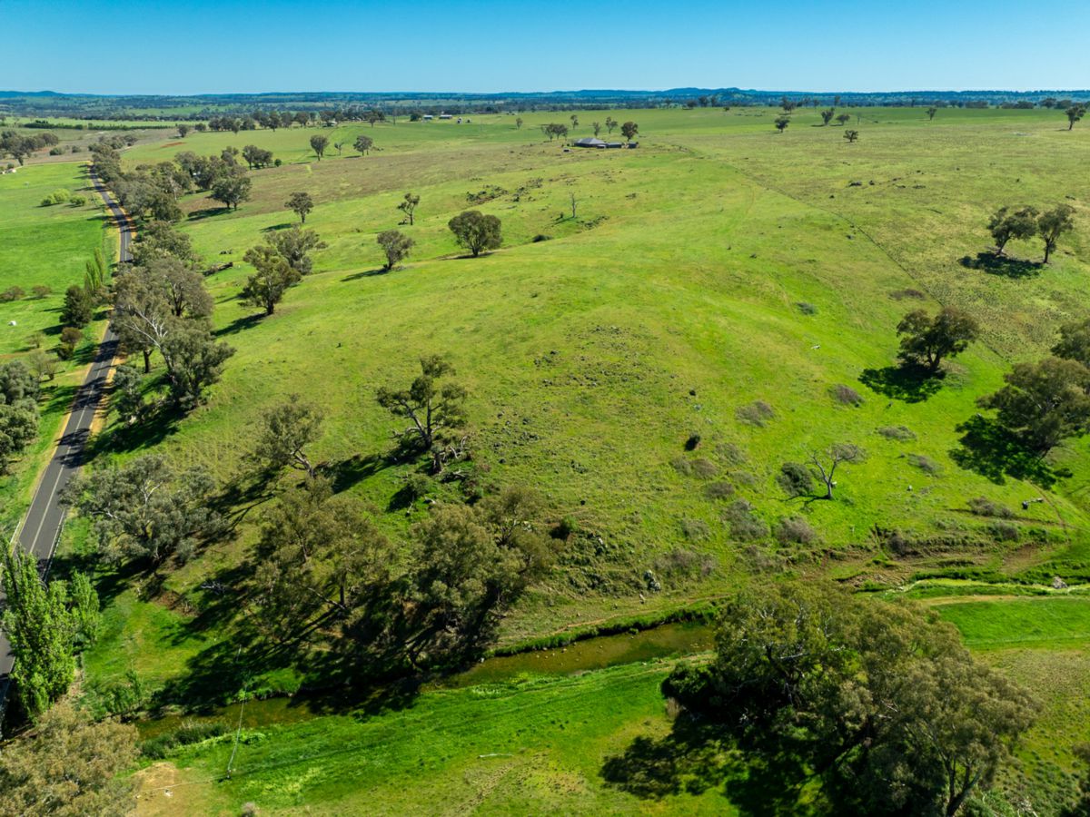1097 Davys Plains Road, Cudal - image 3
