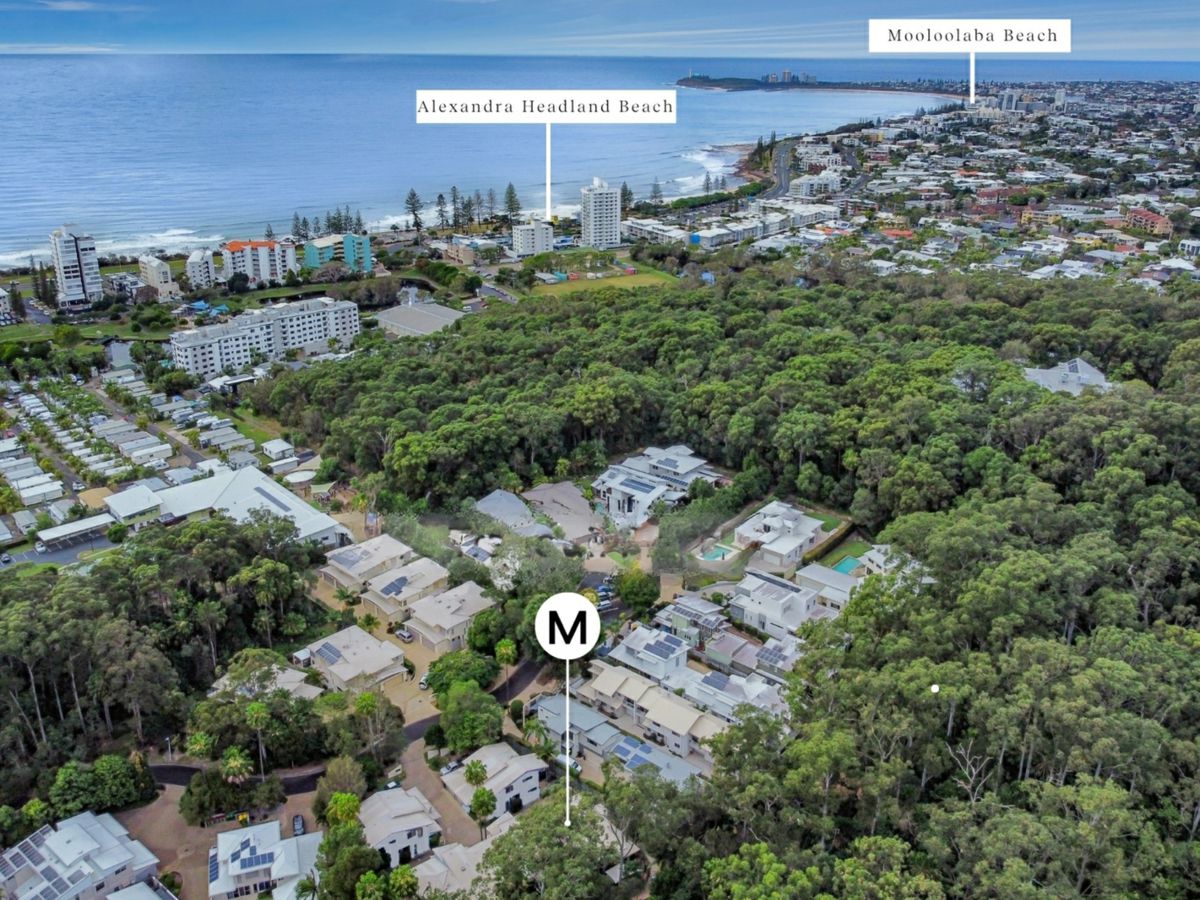 7/6 Tranquil Place, Alexandra Headland - image 1