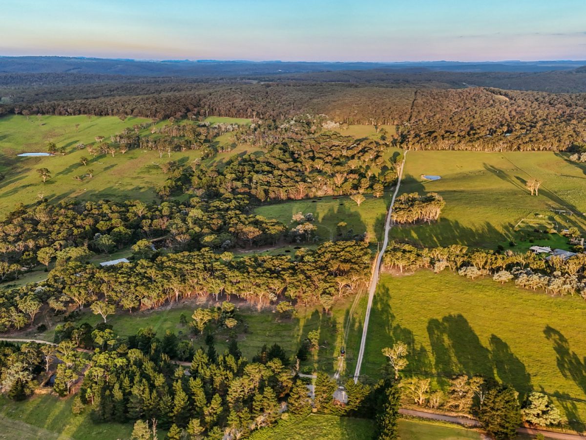 272 Inverary Road, Paddys River - image 2