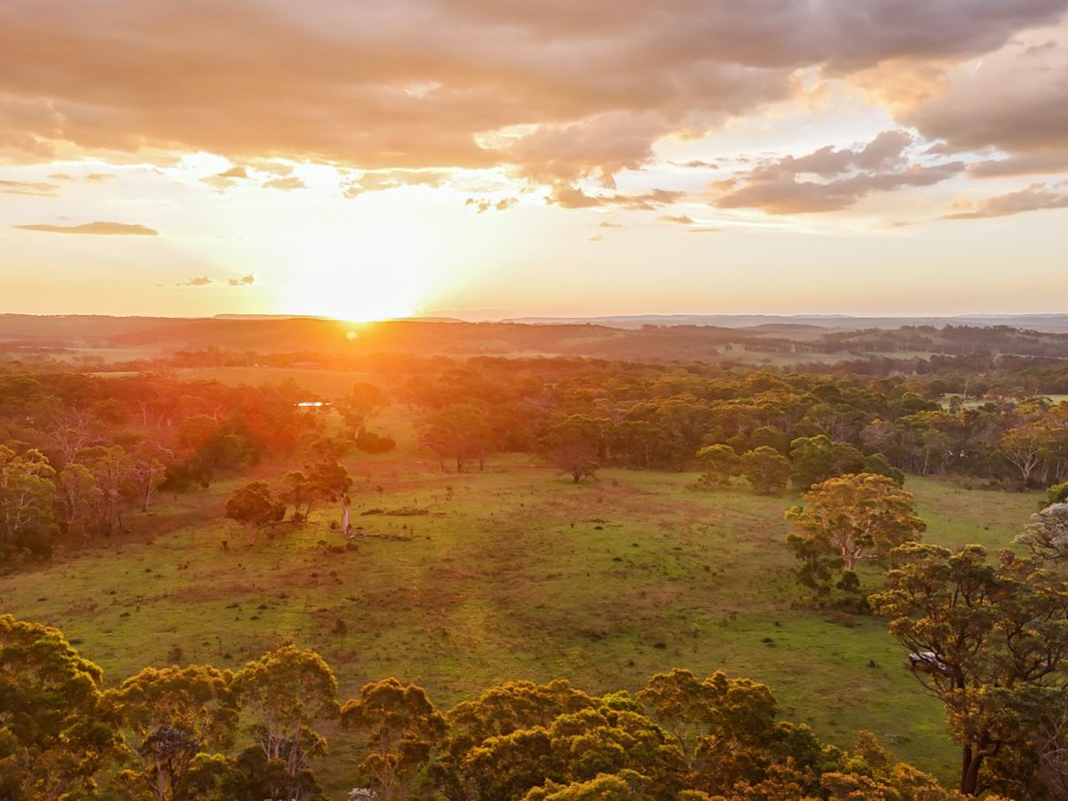 272 Inverary Road, Paddys River - image 3