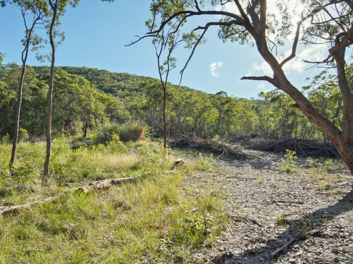 40 Jobson Road, Agnes Water - image 3