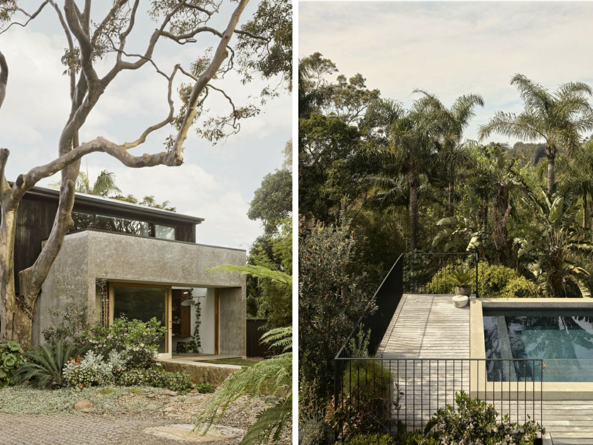 4 Koala Place, Avalon Beach - image 3
