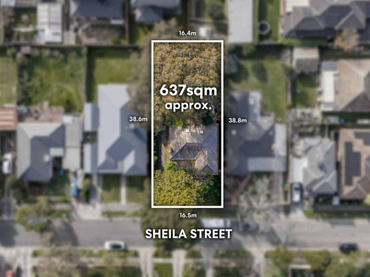 11 Sheila Street, Blackburn North - image 1