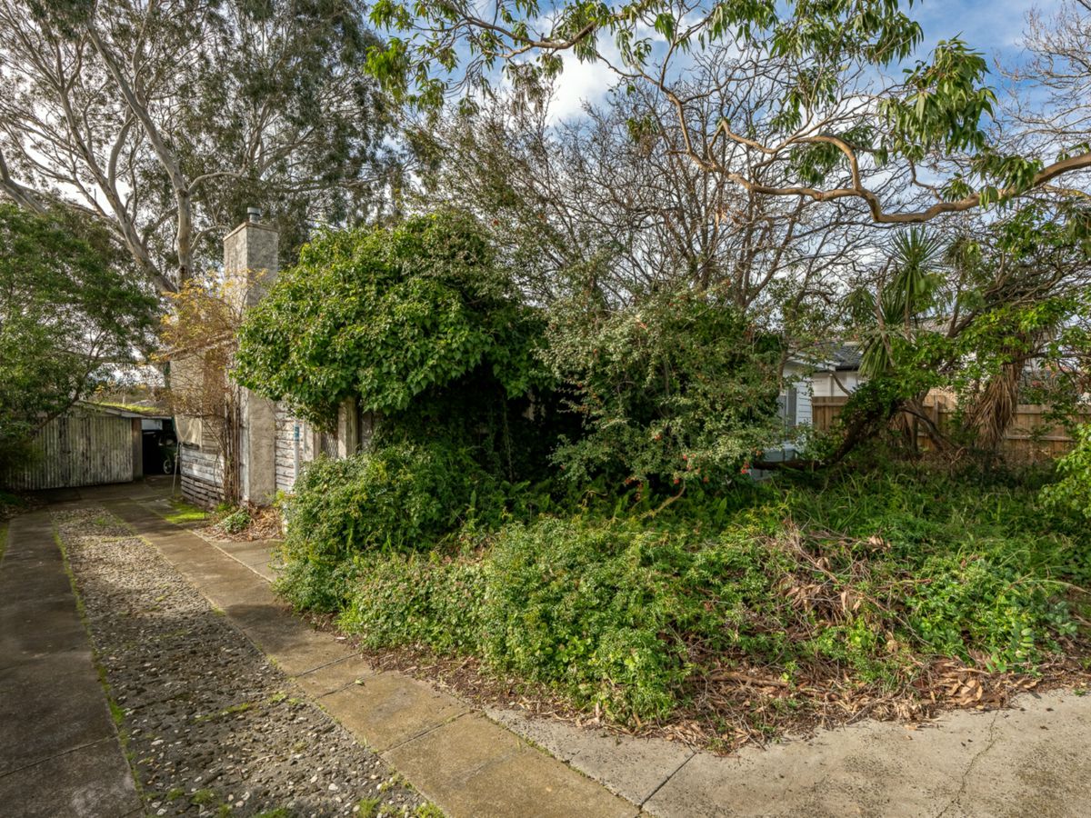 11 Sheila Street, Blackburn North - image 2