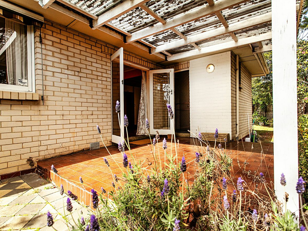 227 Dorking Road, Box Hill North - image 2