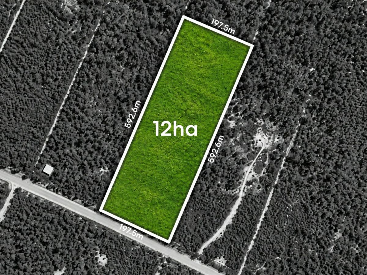 Lucky Road, Tara - image 1