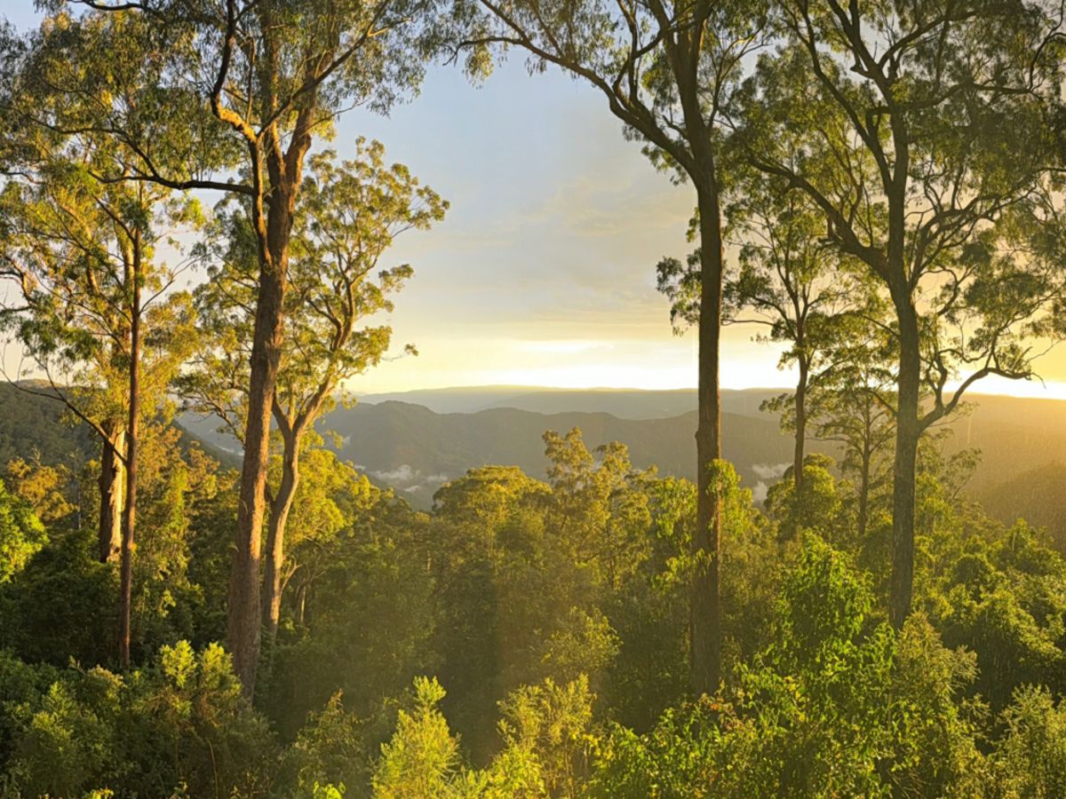 Owens Trail, Gloucester - image 1