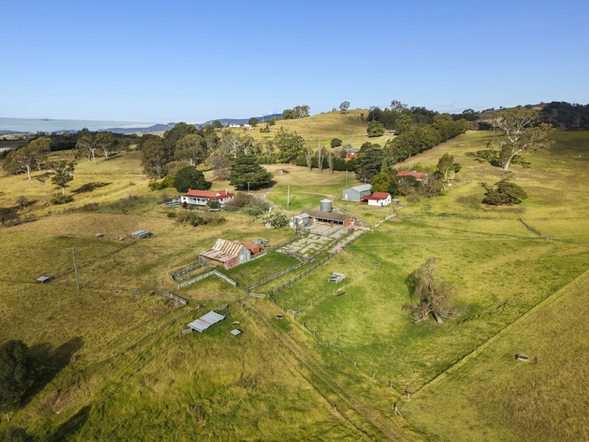 354 Tantawangalo Mountain Road, Candelo - image 3
