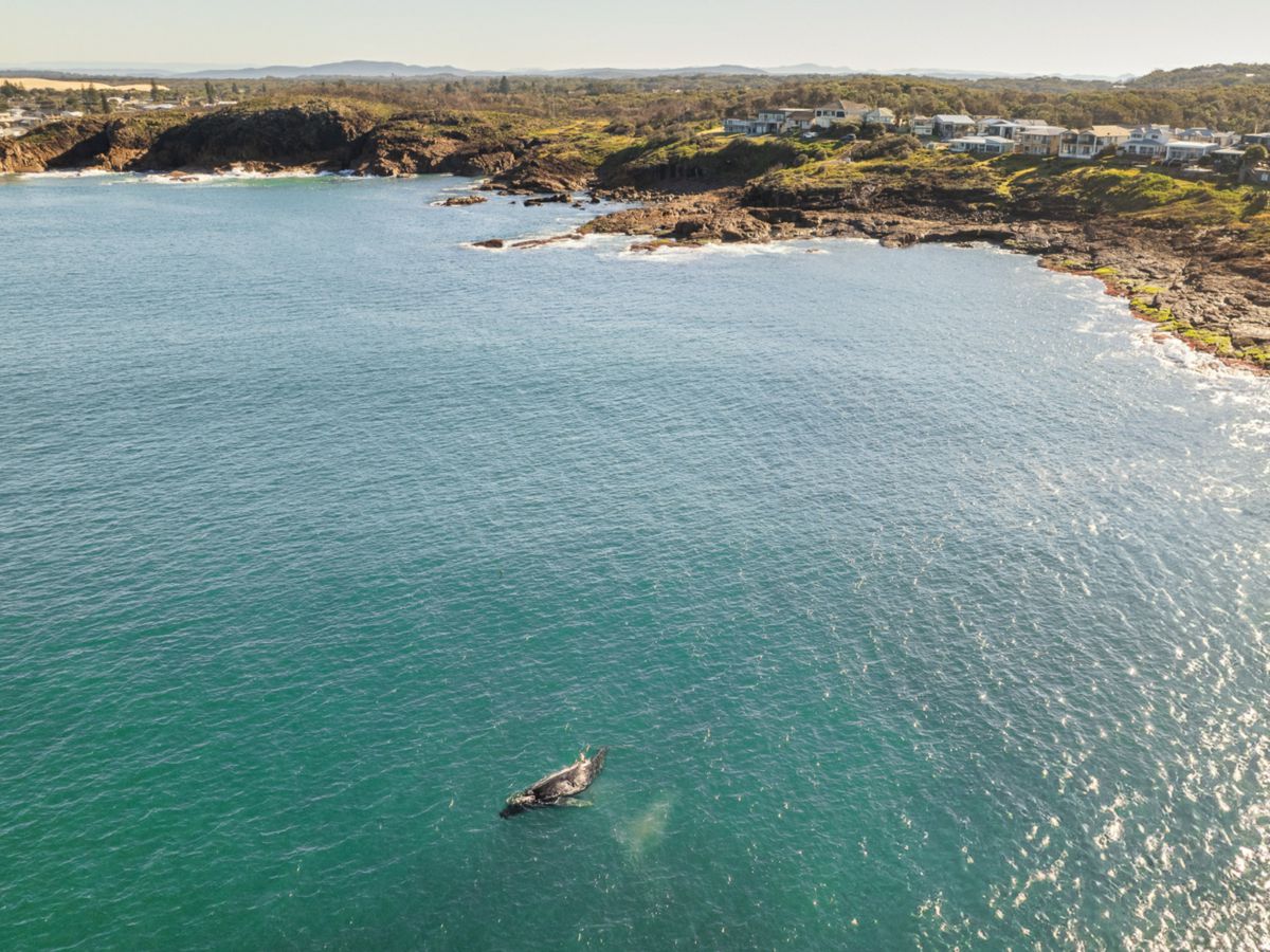 242 Gan Gan Road, Anna Bay - image 3