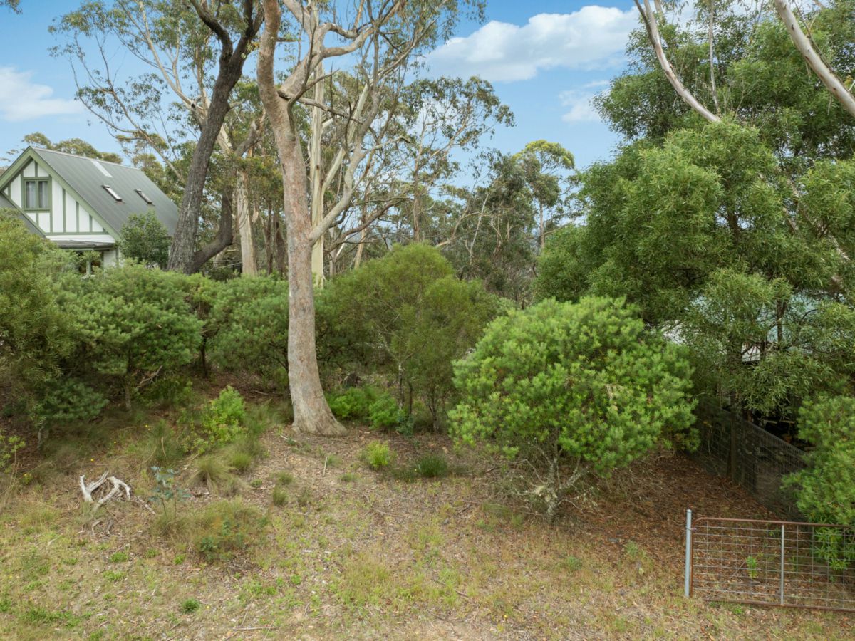 42 Sylvania Street, Mount Victoria - image 2