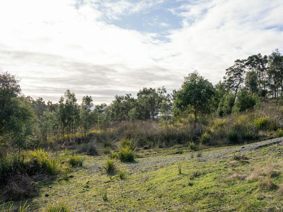 7 Sofoula Court, Legana - image 3