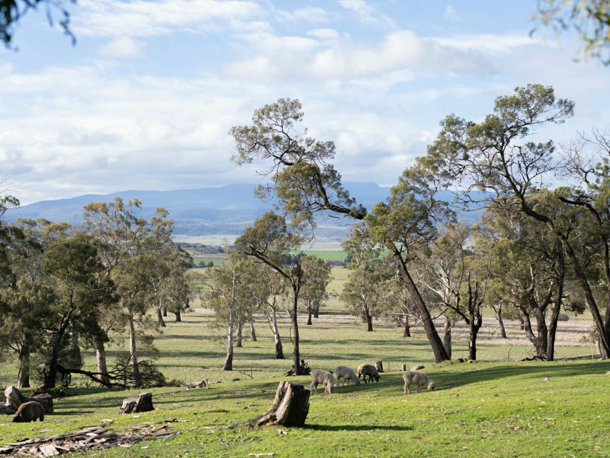 35 Summit Drive, Devon Hills - image 1