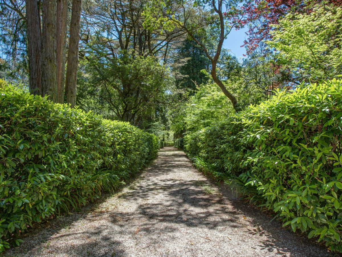 43-69 Balmoral Road, Leura - image 3