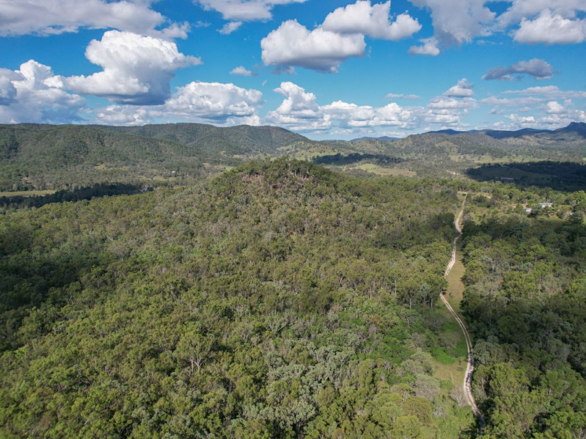 Wonbah Avenue, Wonbah Forest - image 1