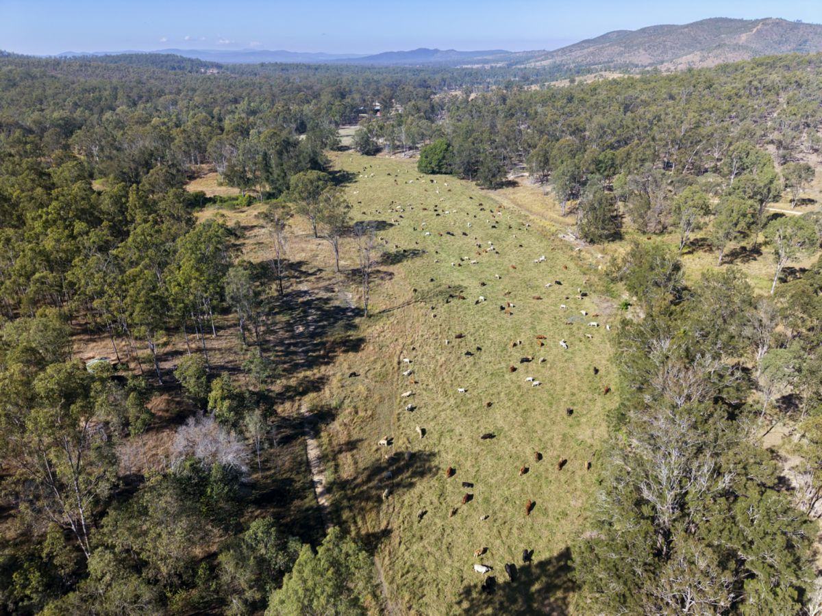 43 & 50 Kaliwa Road, Mingo - image 1