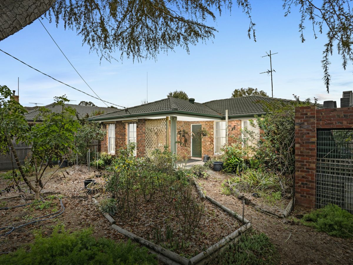 109 Shannon Street, Box Hill North - image 1