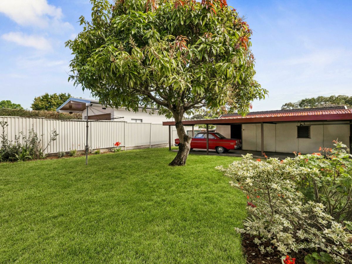 99 Permanent Avenue, Earlwood - image 3