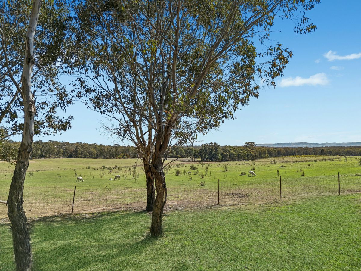 504 Cooper Drive, Clandulla - image 3