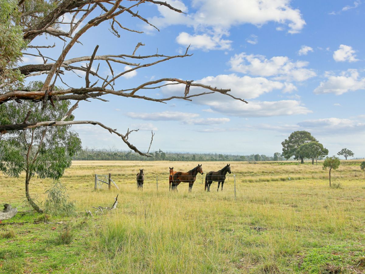 22 Cainbil Road, Coolah - image 3