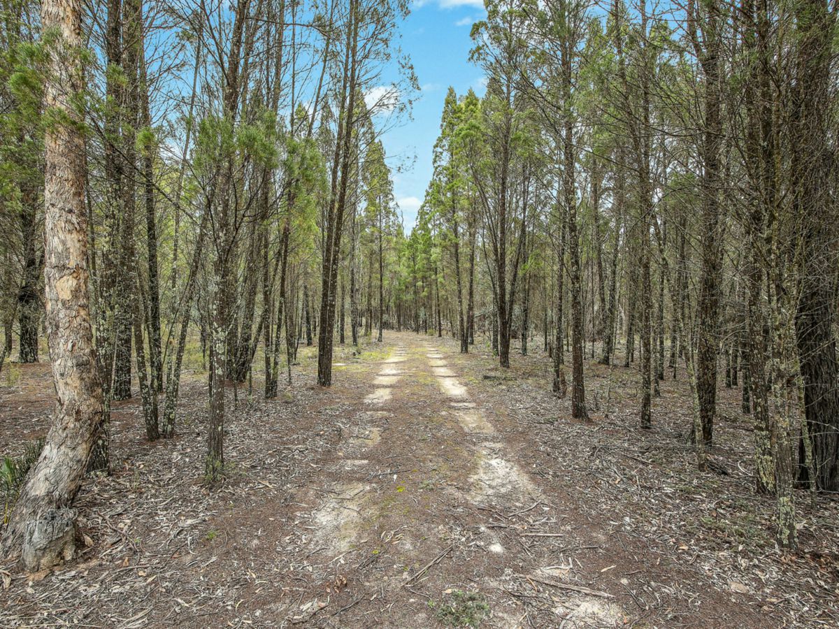 1393 Spring Creek Road, Mudgee - image 1