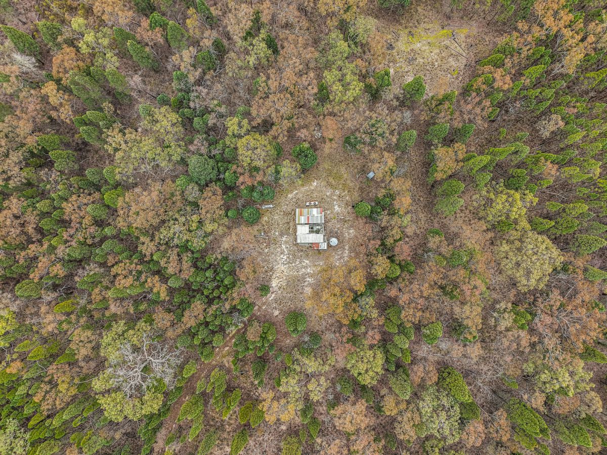 1393 Spring Creek Road, Mudgee - image 2