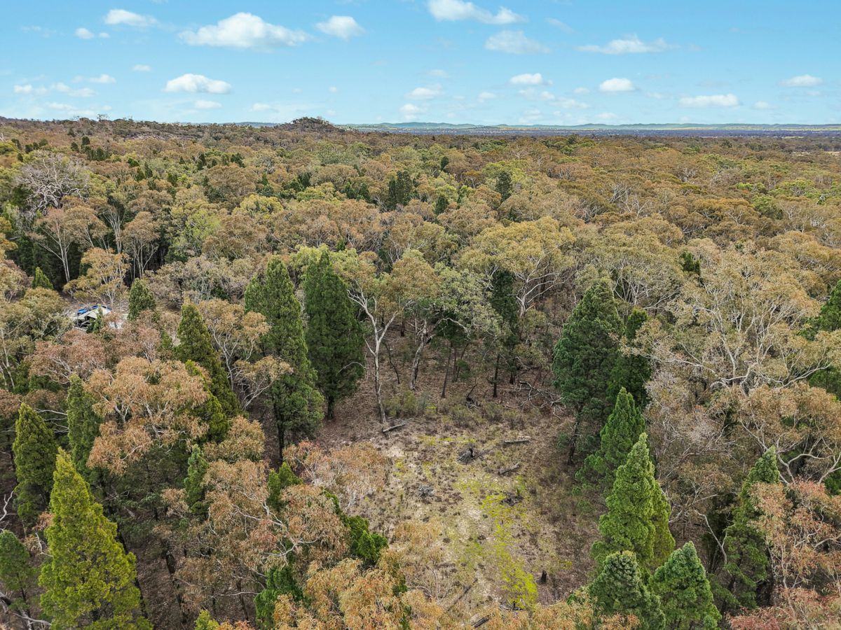 1393 Spring Creek Road, Mudgee - image 3