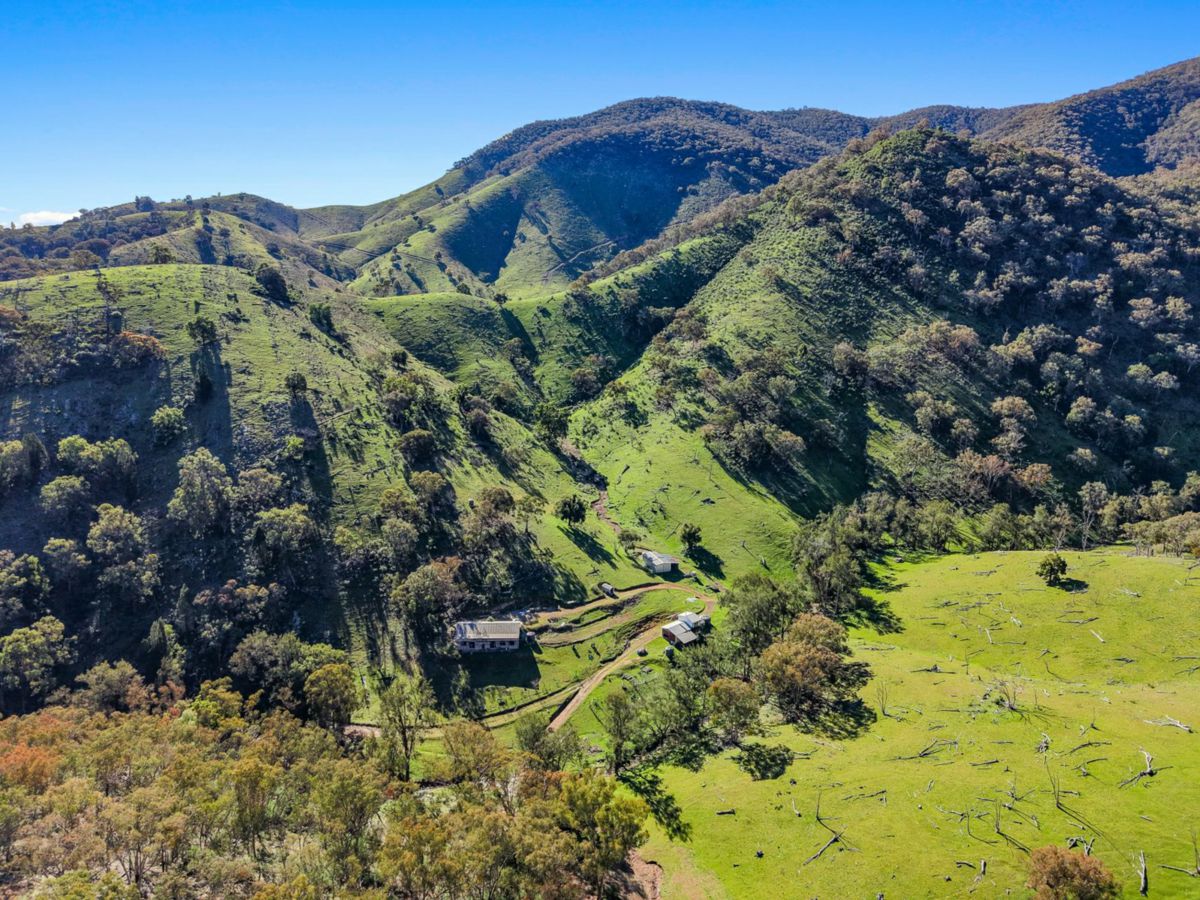 53 Peach Tree Lane, Mudgee - image 1