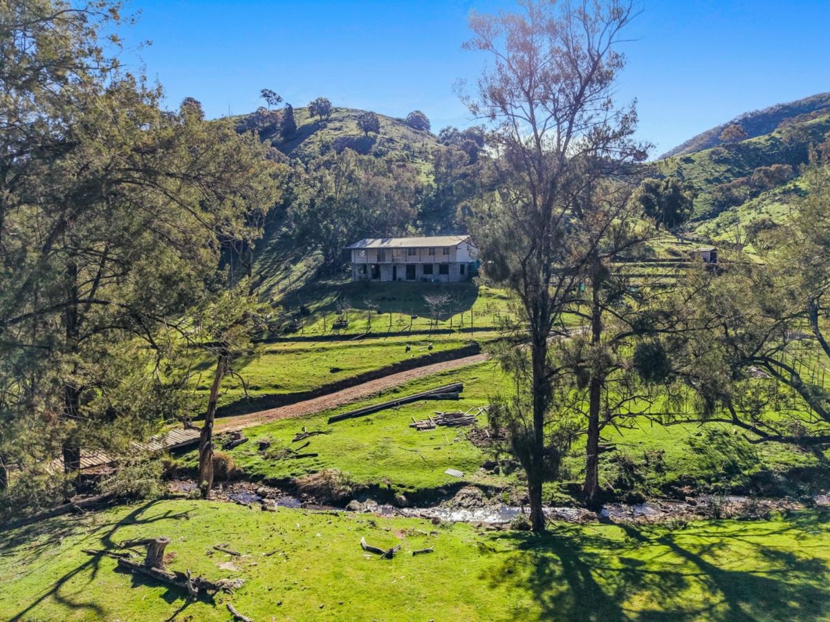 53 Peach Tree Lane, Mudgee - image 2