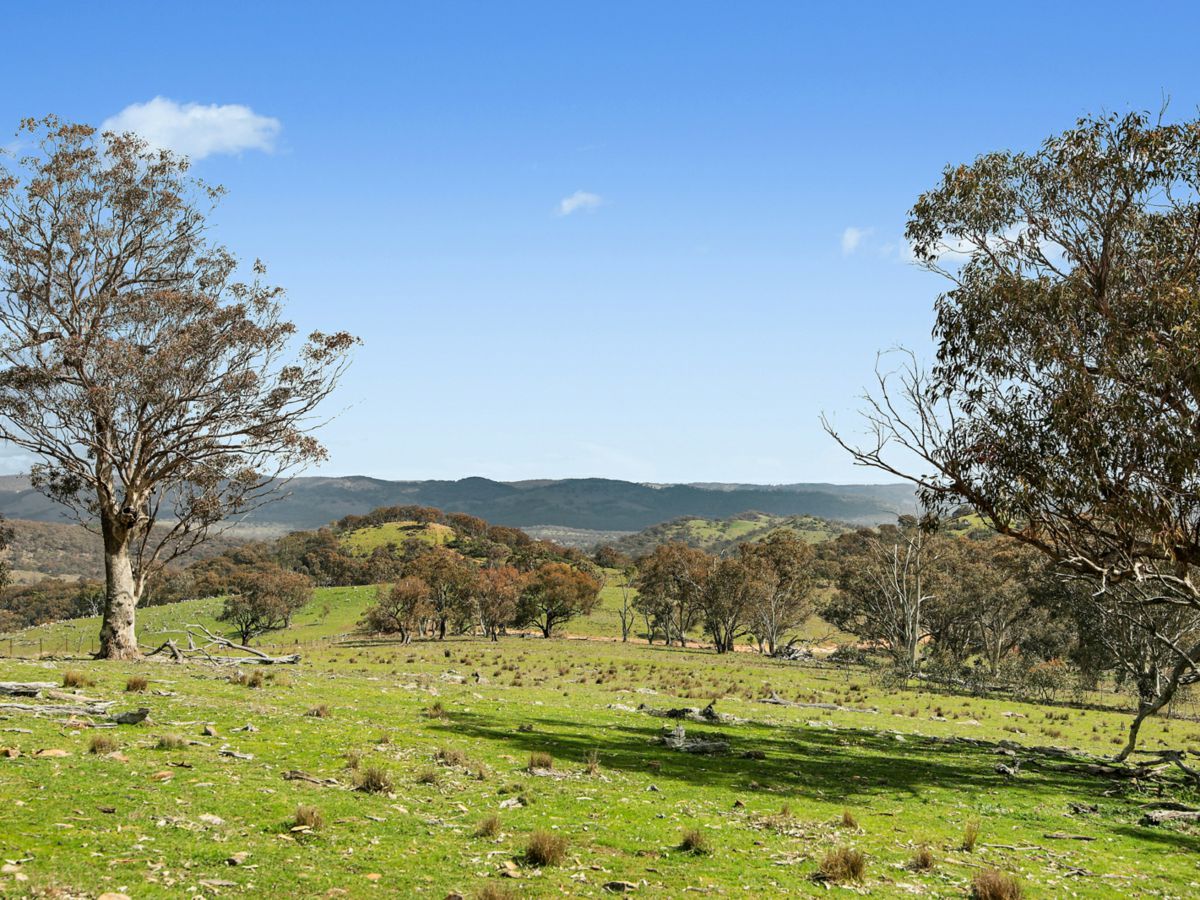 Lot 1301, Queens Pinch Road, Mudgee - image 1