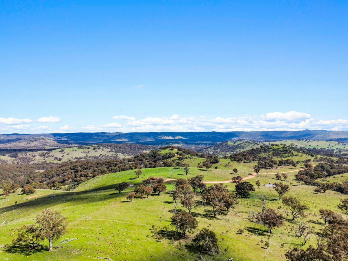 Lot 1301, Queens Pinch Road, Mudgee - image 2