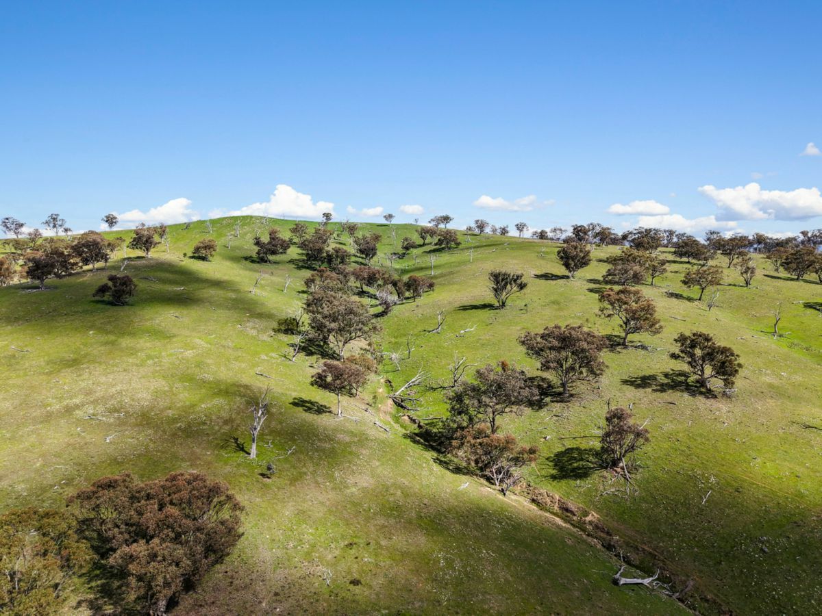 Lot 1301, Queens Pinch Road, Mudgee - image 3