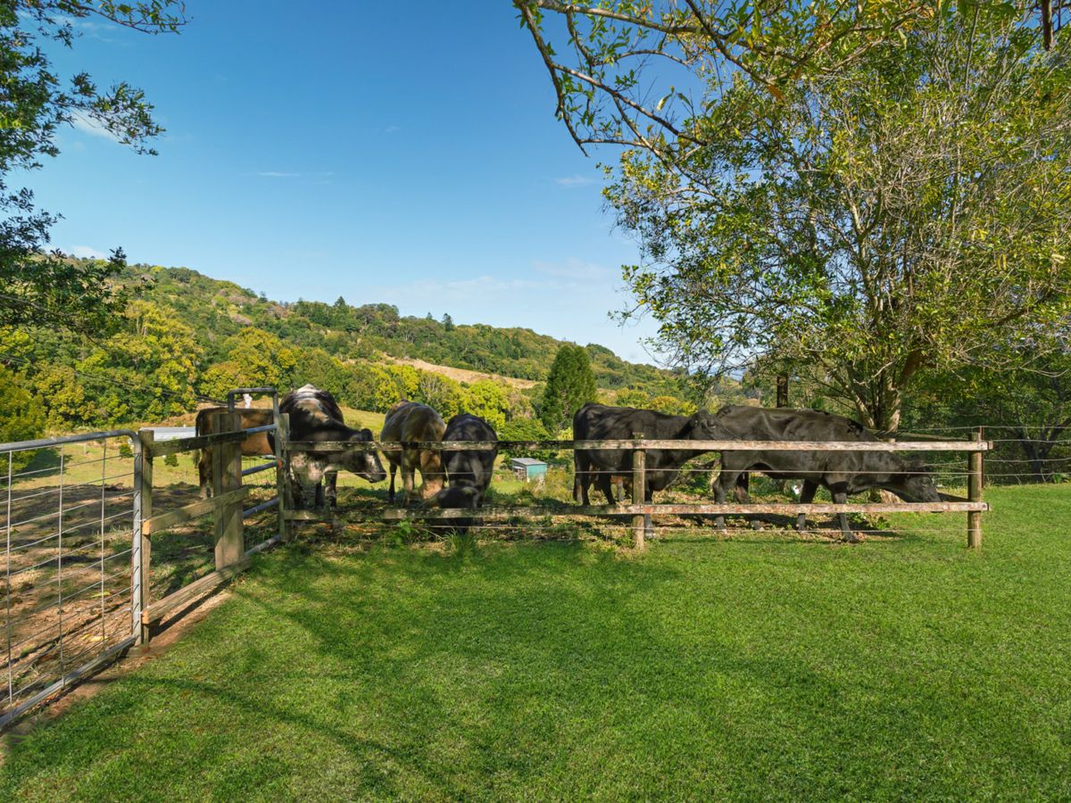 456 Eviron Road, Eviron - image 3