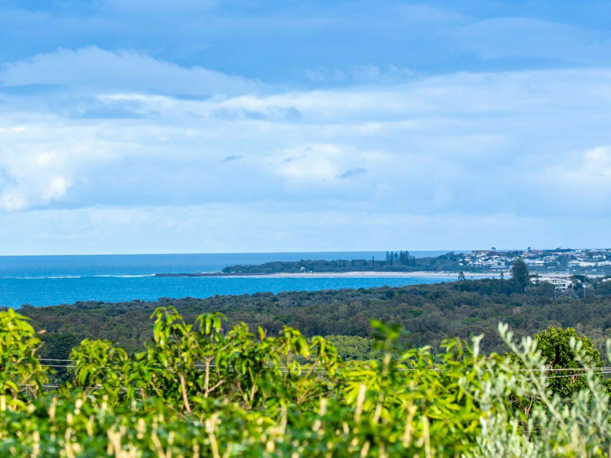 42 Walter Crescent, Banora Point - image 1